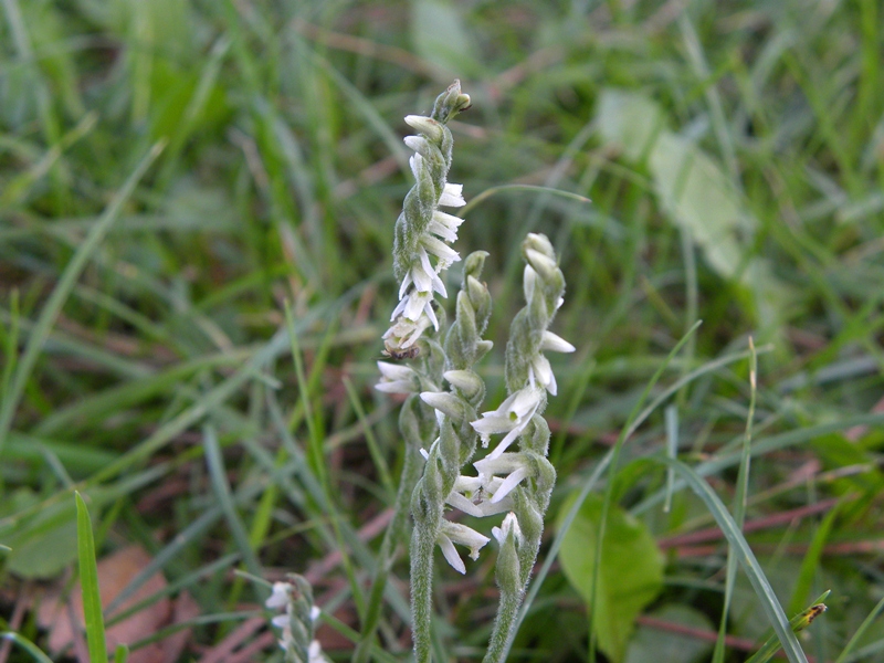DSCN8864.JPG